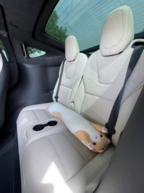 MODEL X63591863958019112