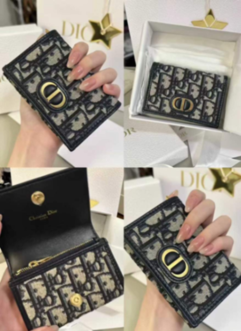 Dior Oblique Canvas Card Holder – Like New | With Box63227403996163111