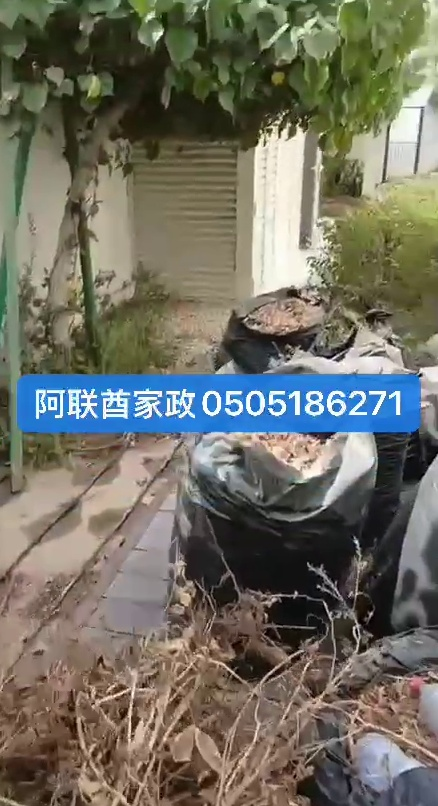 Villa Gardening Services | Lawn Mowing, Pruning, Maintenance & Fertilizing63206816000257113