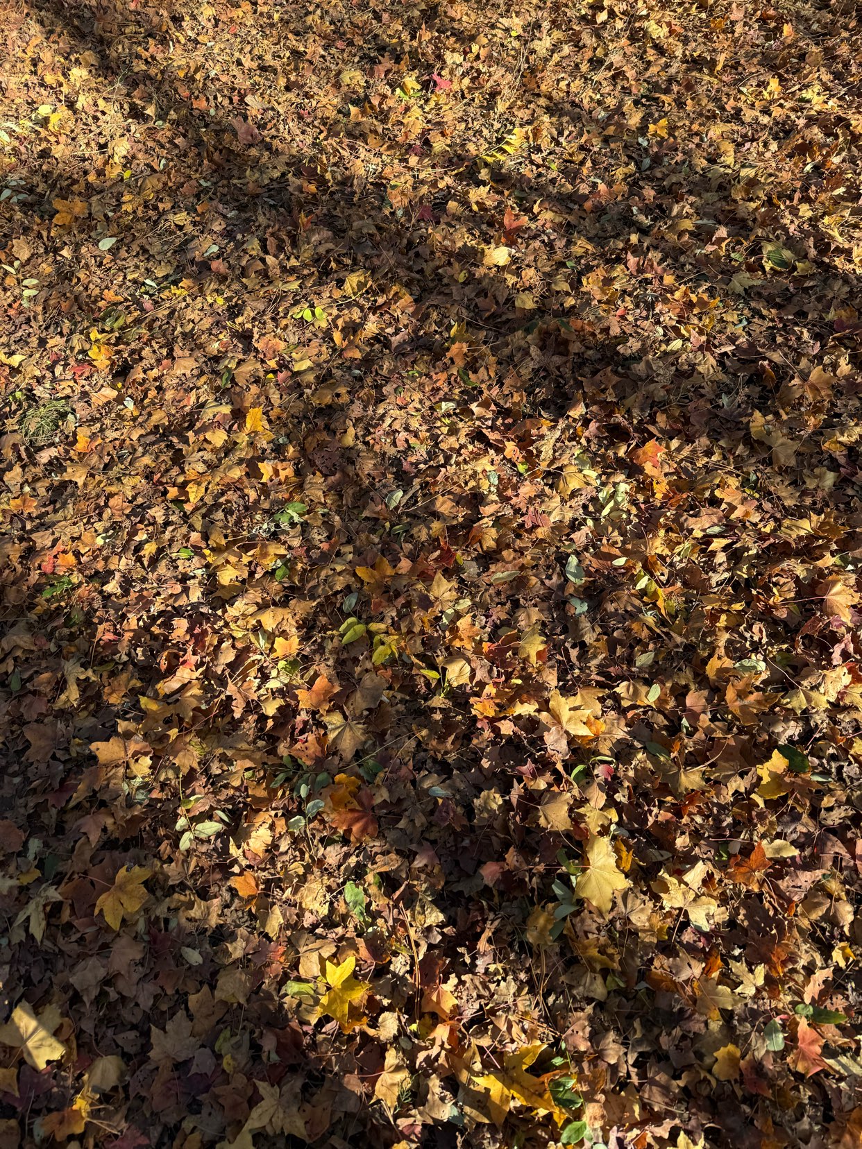 الأبواب64449744222722111