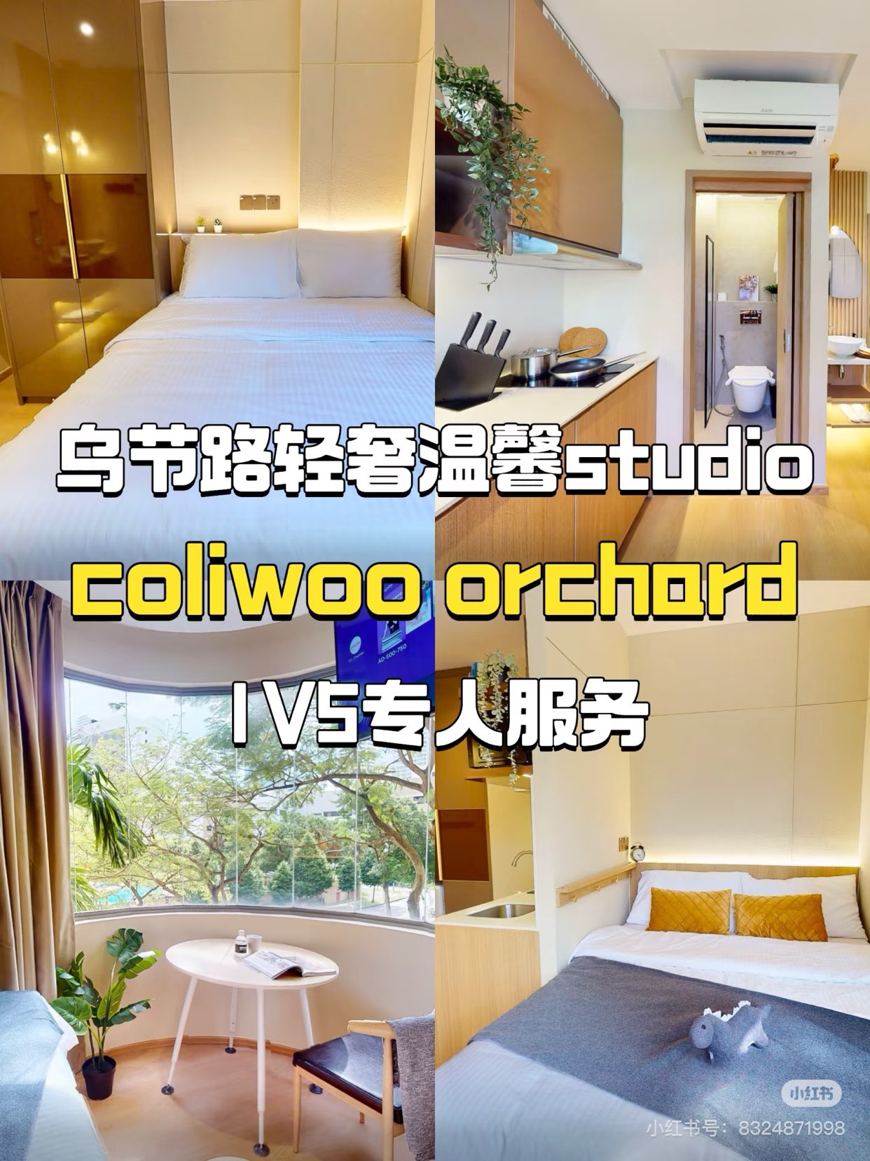 Found a Hidden Gem Studio for Short-Term Rental on Orchard Road!63579083044225110