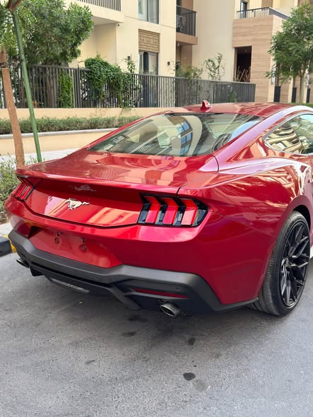 2024 Ford Mustang EcoBoost Full Optionsext4 2024+Ford+Mustang+EcoBoost+Full+Options-64875708973699114