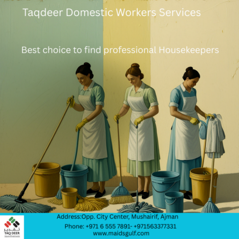 Domestic Workers Services 63426530931329113