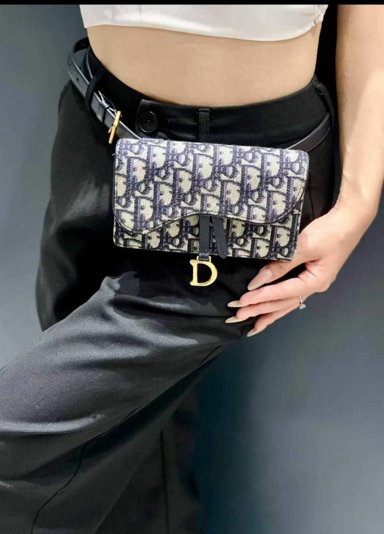 Pre-owned Dior Belt Bag – Classic Oblique Canvas | 95% New63227708837249112