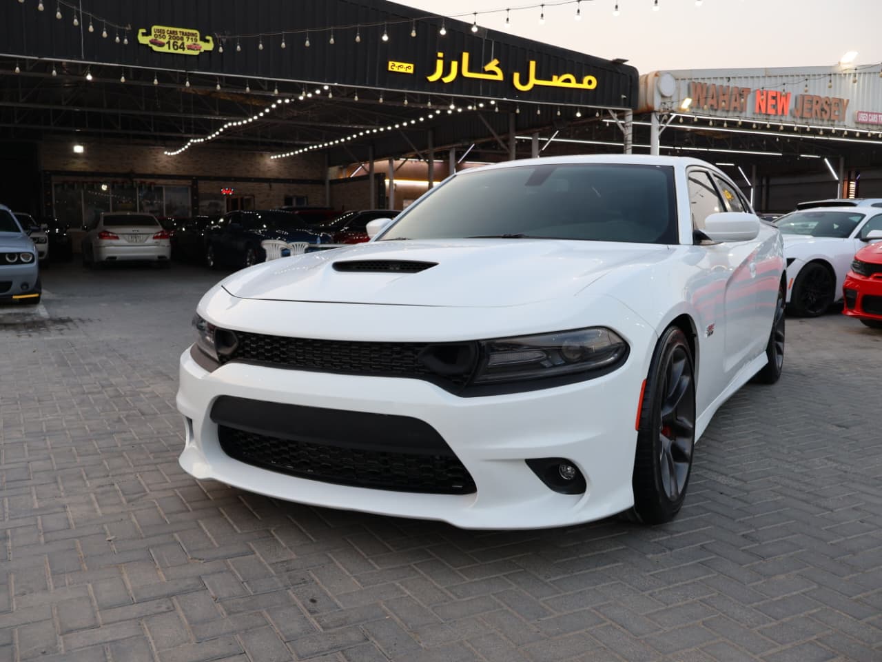 /ar/city-ajman/cate-car-used-car/dodge-charger-srt-scatpack-2022-6436634495564911/-7