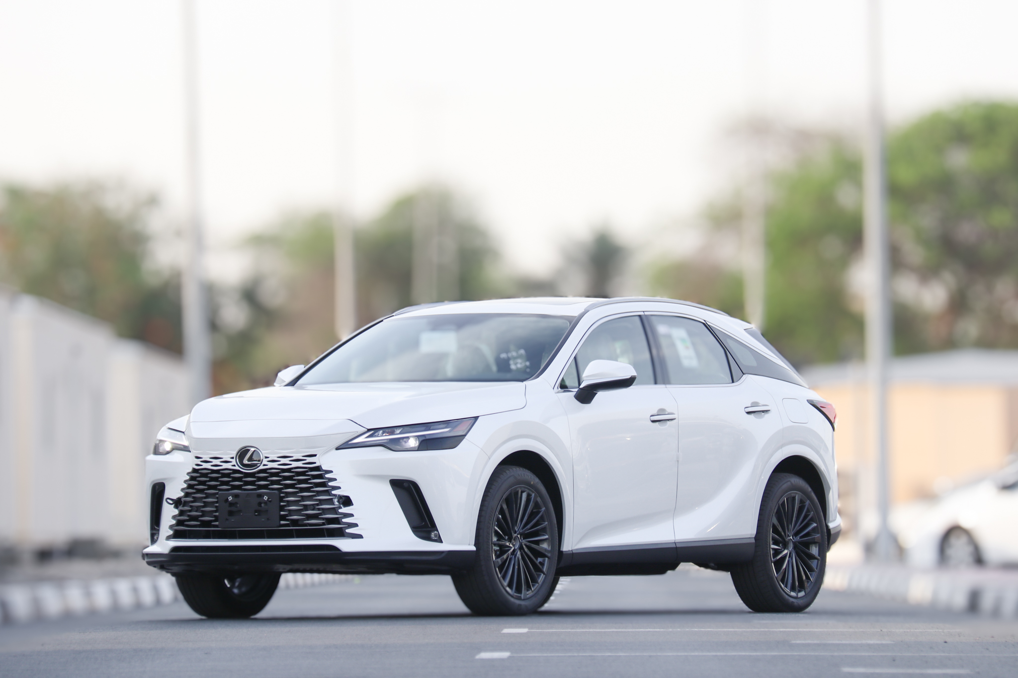 RX350 STD H 202564474395878785110